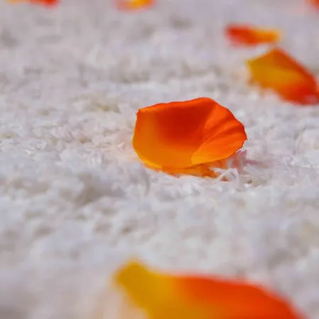 Ξενοδοχείο Victoria 3*